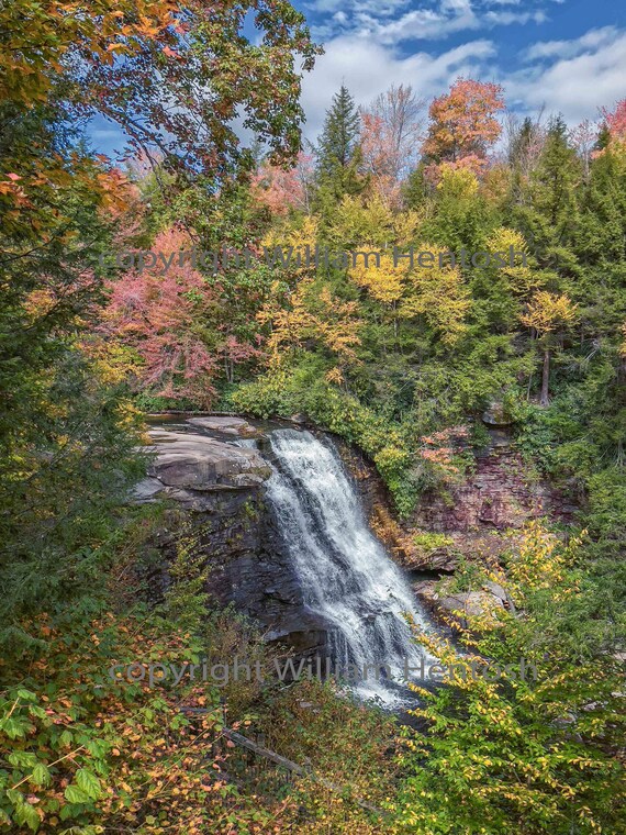 Are Dogs Allowed At Swallow Falls