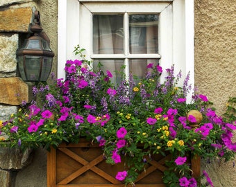 Window flower box, photography, flower box picture, old toll house, window sill and flowers, wall art