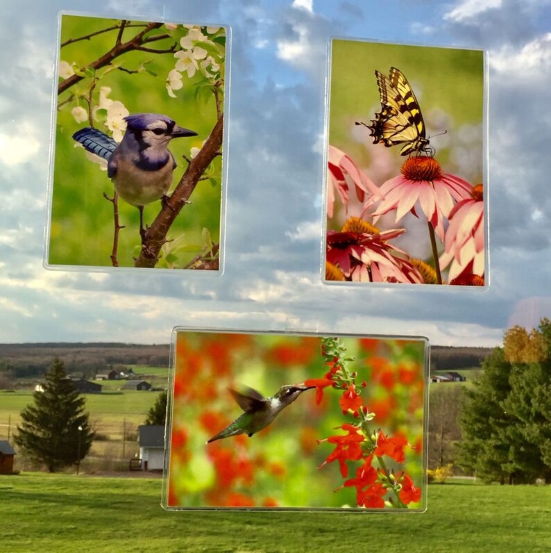 Suncatcher Photography Cardinal Couple Nature Setting Photo Etsy