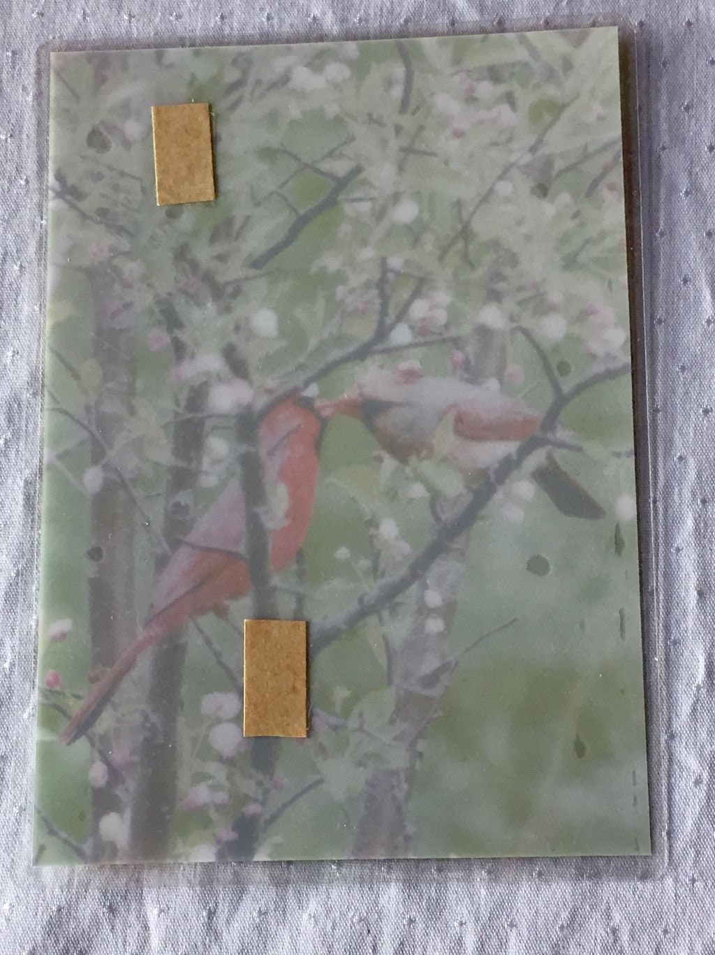 Suncatcher photography Cardinal couple nature setting photo Etsy