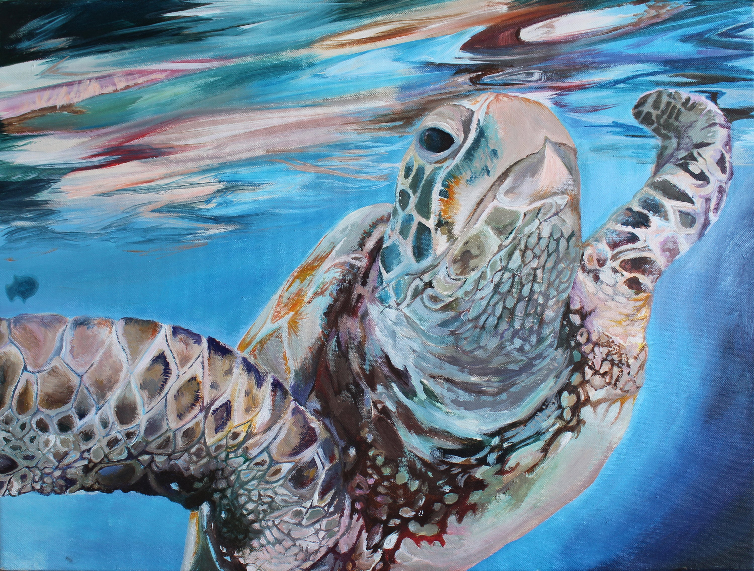 Turtle Acrylic Painting