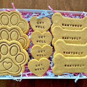 Get well gifts for dogs discount