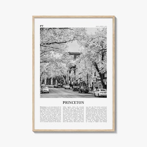 Princeton Print Black and White, Princeton Wall Art, Princeton Poster, Princeton Photo, Princeton Wall Décor, New Jersey, USA, United States