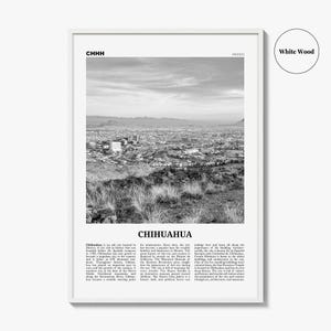 Póster de Chihuahua en blanco y negro, arte mural de viaje a México, decoración fotográfica urbana. imagen 8