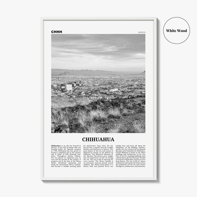 Póster de Chihuahua en blanco y negro, arte mural de viaje a México, decoración fotográfica urbana. imagen 8