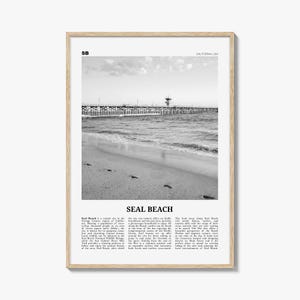 Robben Strand Poster Schwarz Weiß Nr. 1, Robben Strand Wand Kunst, Robben Strand Poster, Robben Strand Foto, Robben Strand Wanddekoration, Kalifornien, USA