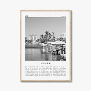 Naples Florida Print: Black and White Cityscape Wall Art