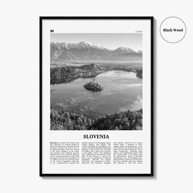 Póster de Eslovenia en blanco y negro, foto del lago Bled, arte mural de viaje por Europa Central imagen 7