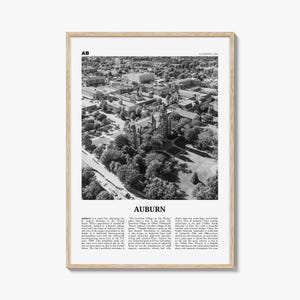 Kastanjebruine print zwart-wit Alabama, kastanjebruine muurkunst, kastanjebruine poster, kastanjebruine foto, kastanjebruine wanddecoratie, Alabama, Verenigde Staten, Noord-Amerika