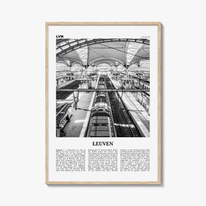 Dworzec kolejowy w Leuven, grafika: czarno-biała sztuka ścienna w Belgii