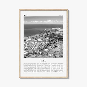 Hilo Poster Print Black and White, Hawaii Wall Art, Big Island Aerial View Photo