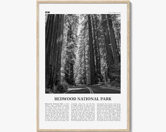 Redwood National Park Poster Print Black and White, California Travel Wall Art, Nature Photography