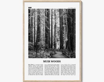 Muir Woods-posterafdruk zwart-wit, Californië reizen muurkunst, decor Redwood Forest natuur