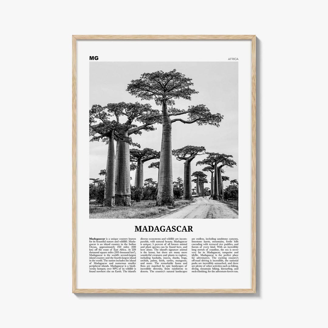 Madagascar Poster Print Black and White, Baobab Trees Photo, Africa ...