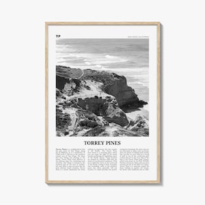 Impresión en blanco y negro n.° 1 de Torrey Pines, arte mural de Torrey Pines, póster de la playa de Torrey Pines, foto de Torrey Pines, San Diego, California