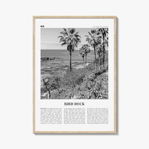 Impresión de roca de pájaro en blanco y negro n.° 2, arte mural de roca de pájaro, póster de roca de pájaro, foto de roca de pájaro, decoración de pared de roca de pájaro, San Diego, California