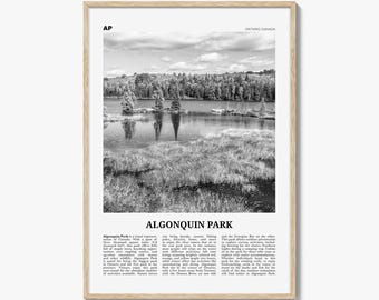 Póster del Parque Algonquin en blanco y negro, arte mural de viajes a Canadá, fotografía de naturaleza