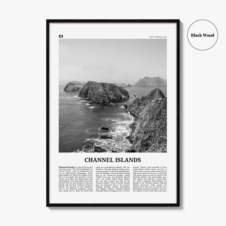 Póster impreso en blanco y negro de las Islas del Canal, arte mural de viajes por California, fotografía de parques nacionales imagen 7