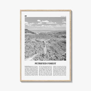 Versteinerter Forest National Park Poster Schwarz Weiß, Versteinerter Wald Poster, Versteinerter Wald Poster, Versteinerter Wald in Arizona, USA