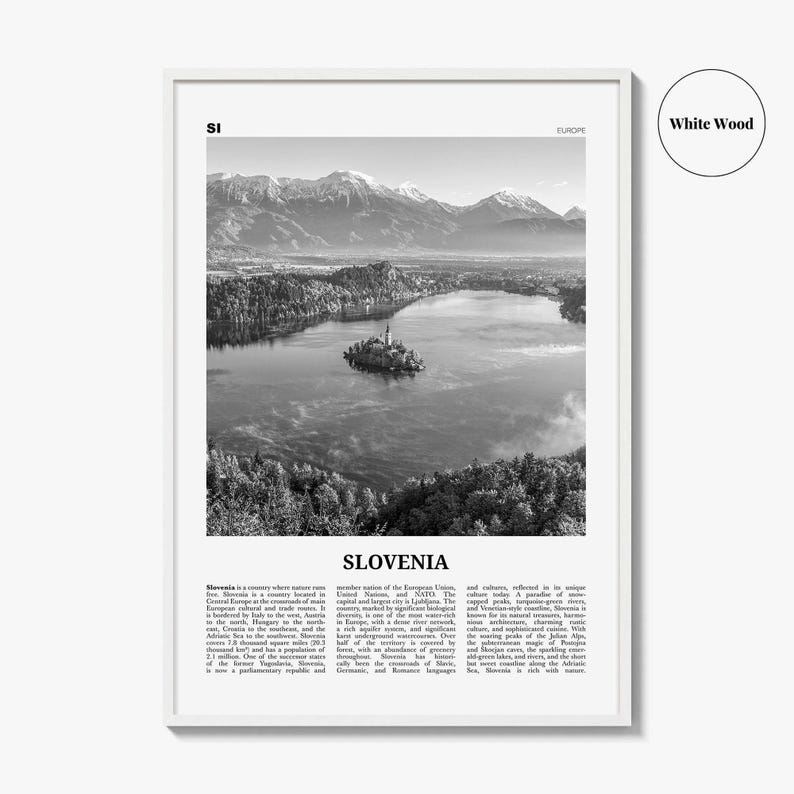 Póster de Eslovenia en blanco y negro, foto del lago Bled, arte mural de viaje por Europa Central imagen 8