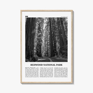 Redwood Nationalpark Poster Schwarzweiß, Redwood Nationalpark Wandkunst, Redwood Nationalpark Poster, Park Foto, Wanddekor, Karte