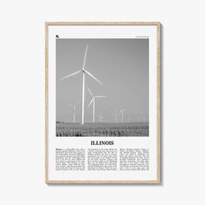 Stampa dell'Illinois in bianco e nero n. 5, Arte murale dell'Illinois, Poster dell'Illinois, Foto dell'Illinois, Decorazione murale dell'Illinois, USA, Stati Uniti, America