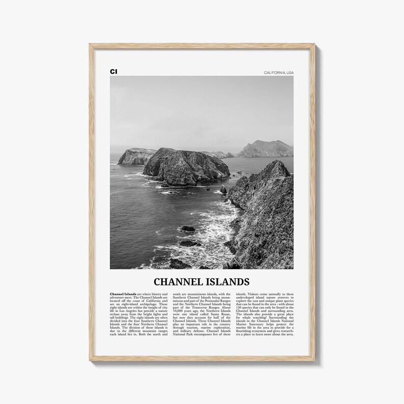 Póster impreso en blanco y negro de las Islas del Canal, arte mural de viajes por California, fotografía de parques nacionales imagen 1
