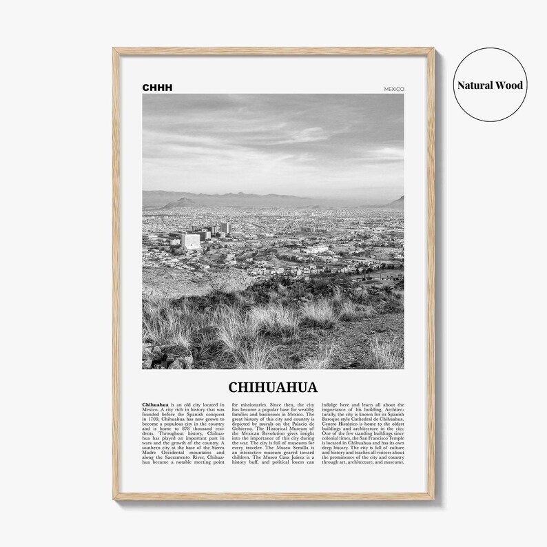 Póster de Chihuahua en blanco y negro, arte mural de viaje a México, decoración fotográfica urbana. imagen 6