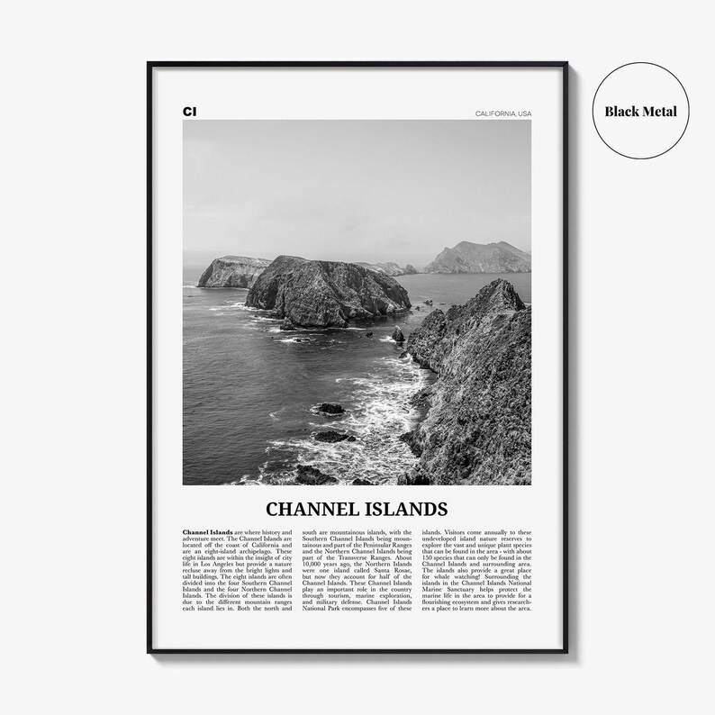 Póster impreso en blanco y negro de las Islas del Canal, arte mural de viajes por California, fotografía de parques nacionales imagen 9