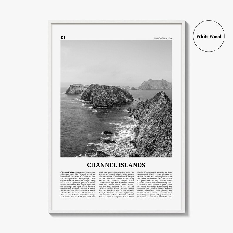 Póster impreso en blanco y negro de las Islas del Canal, arte mural de viajes por California, fotografía de parques nacionales imagen 8