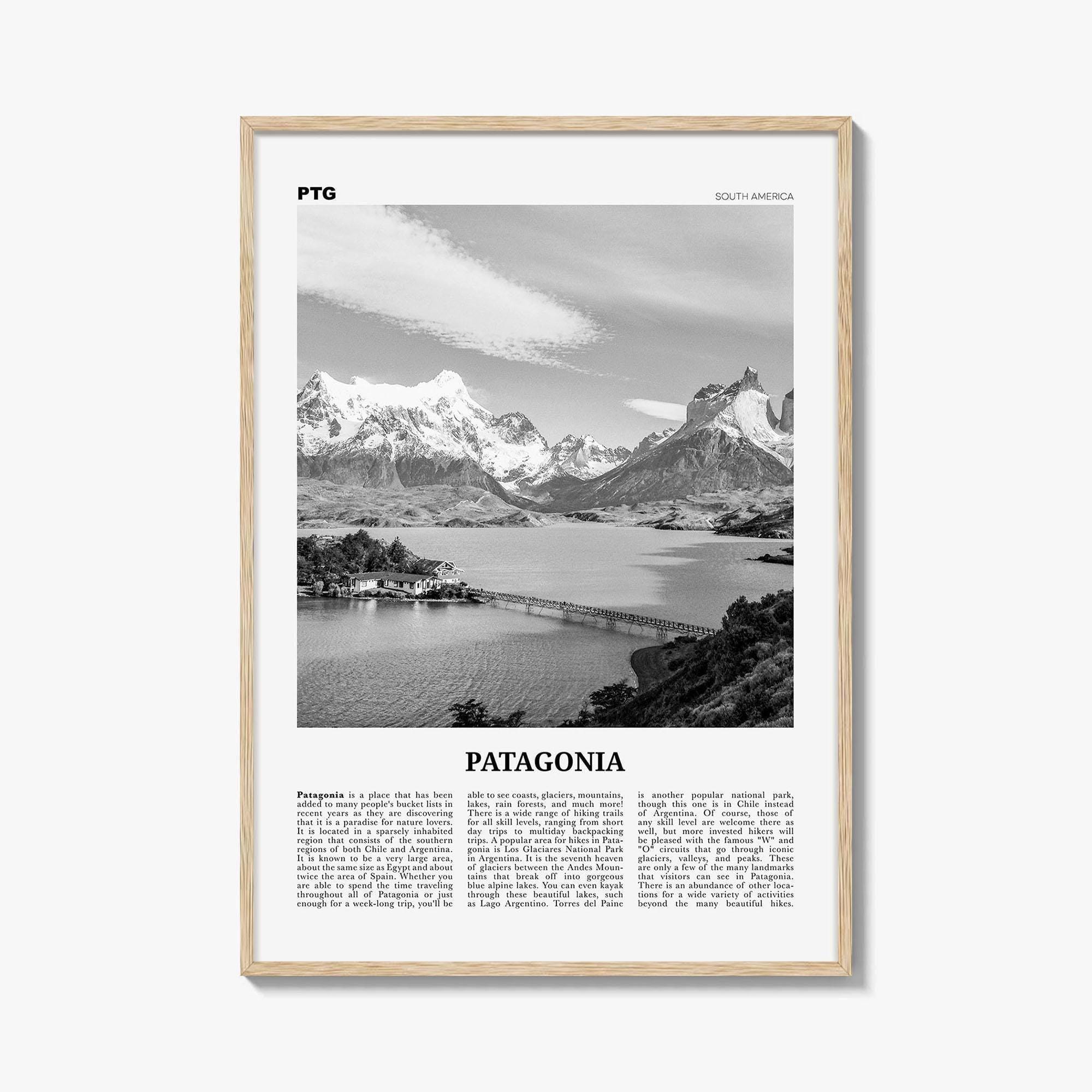 Patagonia poster - Etsy 日本