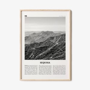 Sequoia National Park Print Black and White, Sequoia Wall Art, Sequoia Poster, Sequoia Photo, California, USA, United States, North America