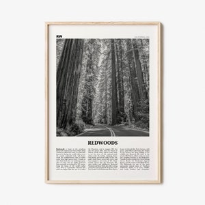 Redwoods Print Black and White, Redwoods Wall Art, Redwoods Poster, Redwoods Photo, Redwoods Map, Redwoods Decor, California