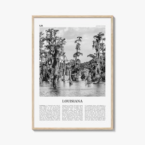Louisiana Poster Print Black and White, United States Travel Wall Art, Swampland Photography