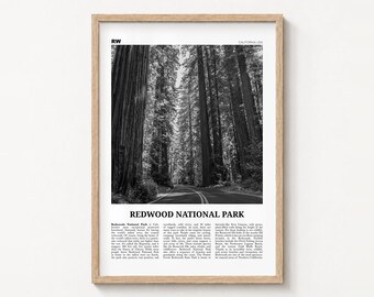 Redwood National Park Poster Print, Black and White Forest Wall Art, California