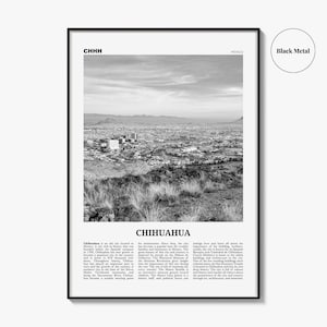 Póster de Chihuahua en blanco y negro, arte mural de viaje a México, decoración fotográfica urbana. imagen 9