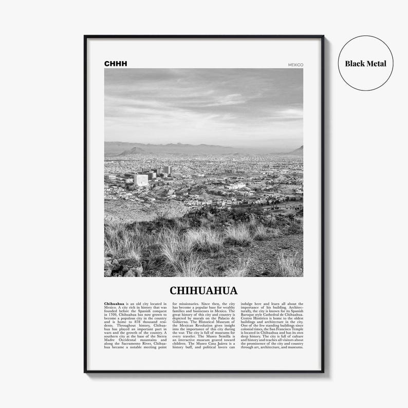 Póster de Chihuahua en blanco y negro, arte mural de viaje a México, decoración fotográfica urbana. imagen 9