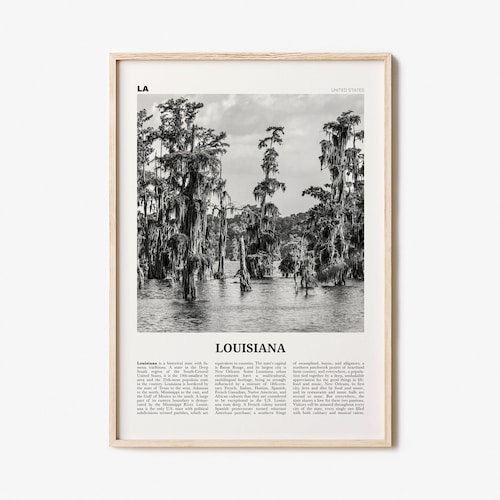 Louisiana Print Black and White View Louisiana Wall Art Etsy