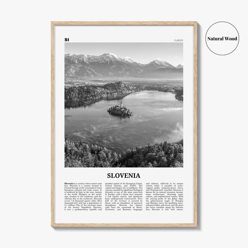 Póster de Eslovenia en blanco y negro, foto del lago Bled, arte mural de viaje por Europa Central imagen 6