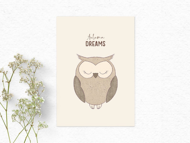 Rustic bird clipart for kids and nursery Cute woodland clipart for cardmaking and sublimation Digital hand drawn owl clipart in brown