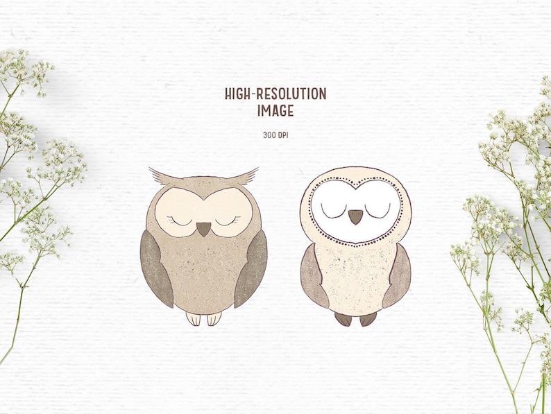 Rustic bird clipart for kids and nursery Cute woodland clipart for cardmaking and sublimation Digital hand drawn owl clipart in brown