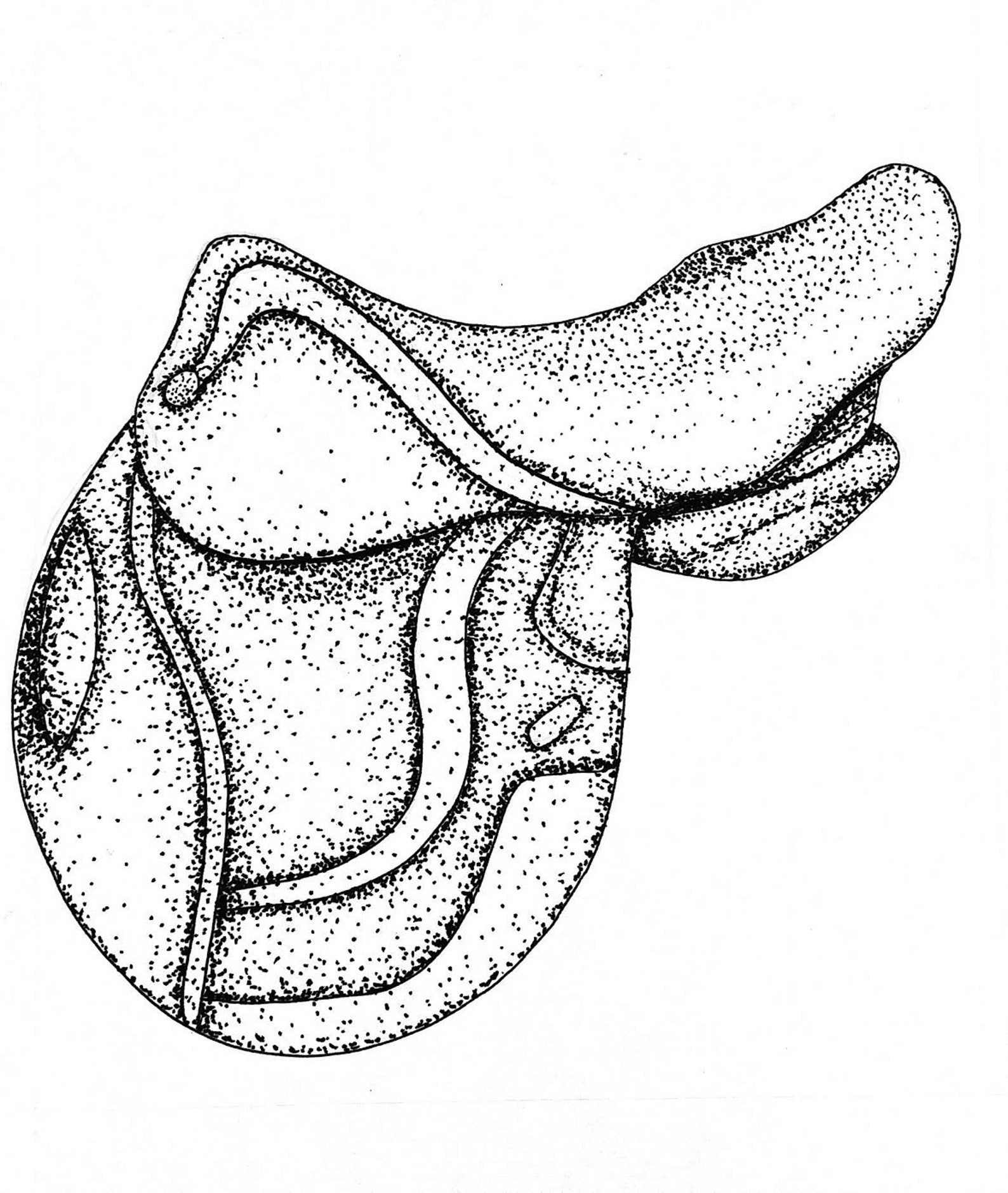 Impresión de silla de montar en inglés estipulada Etsy