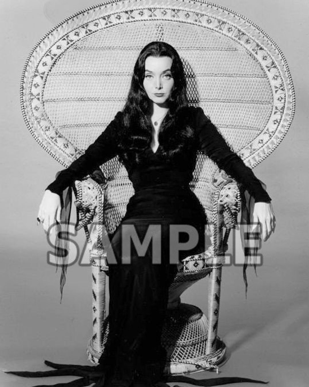 8x10 Photo Carolyn Jones Pretty Sexy the Addams - Etsy