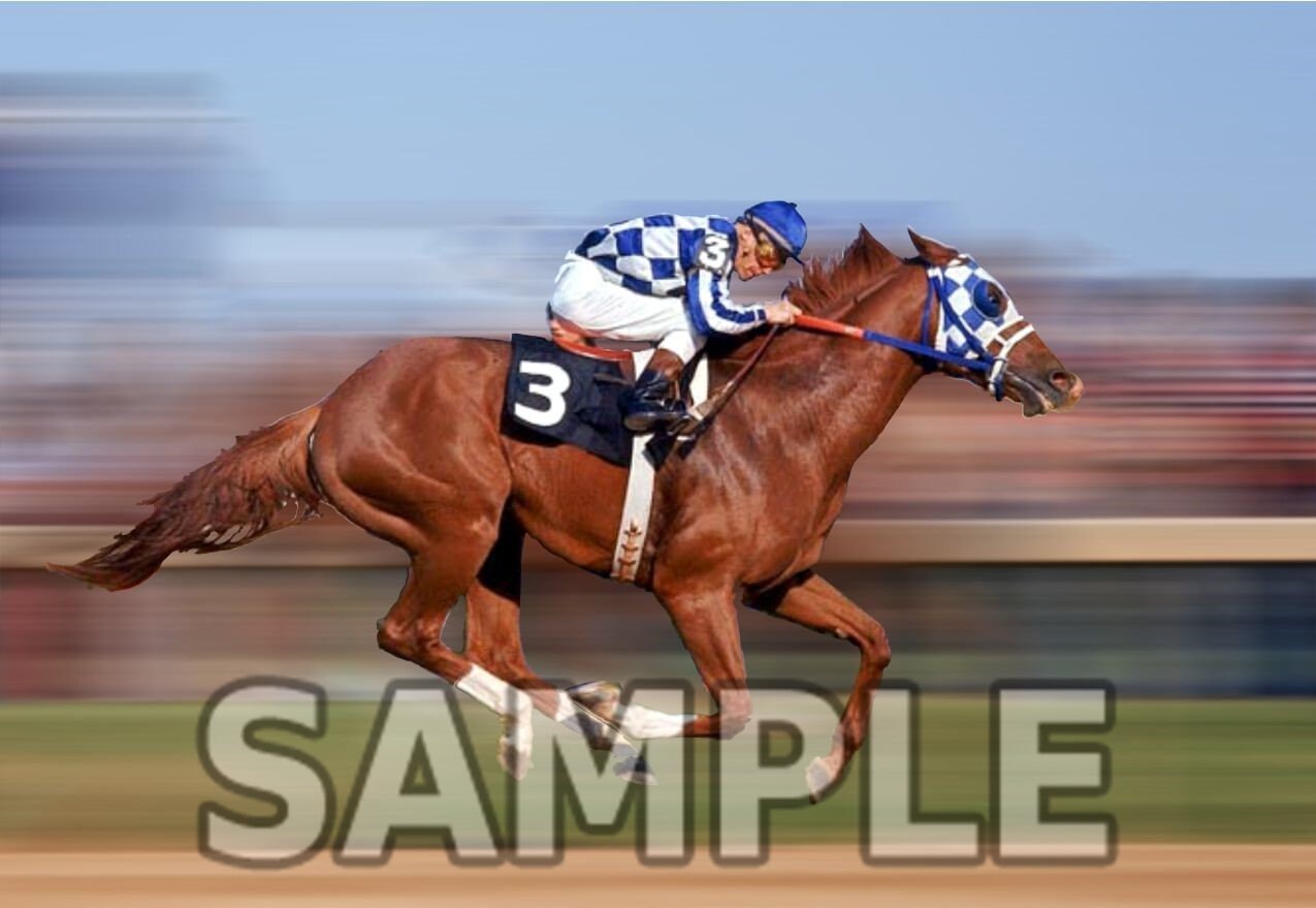 MOCCASIN 8X10 PHOTO HORSE RACING PICTURE JOCKEY 