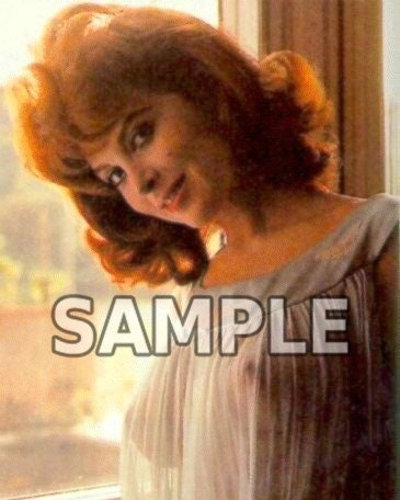 8x10 Photo Tina Louise Pretty Sexy Gilligans Island TV Star - Etsy Canada