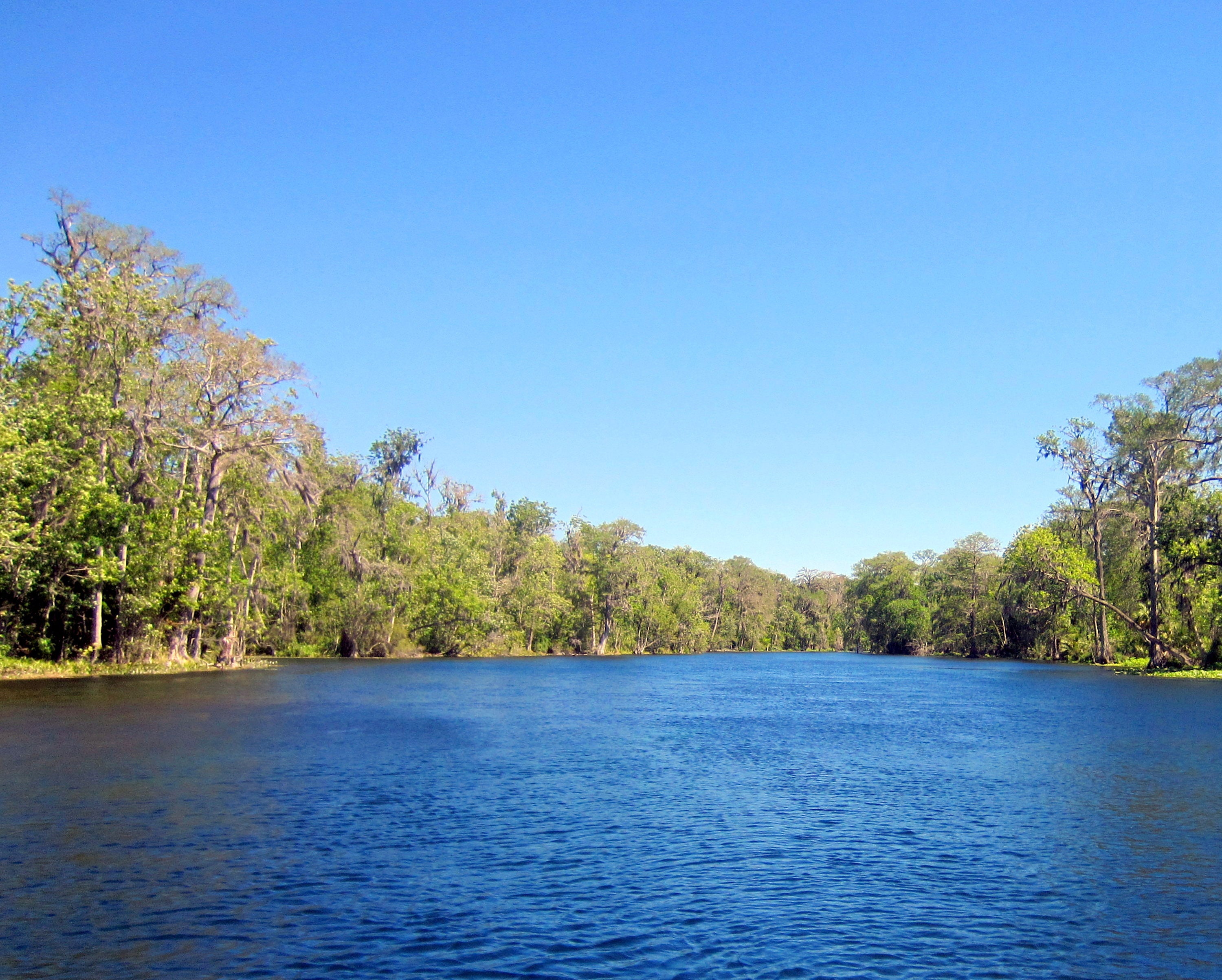 8x10 photo Silver River Silver Springs Florida Etsy