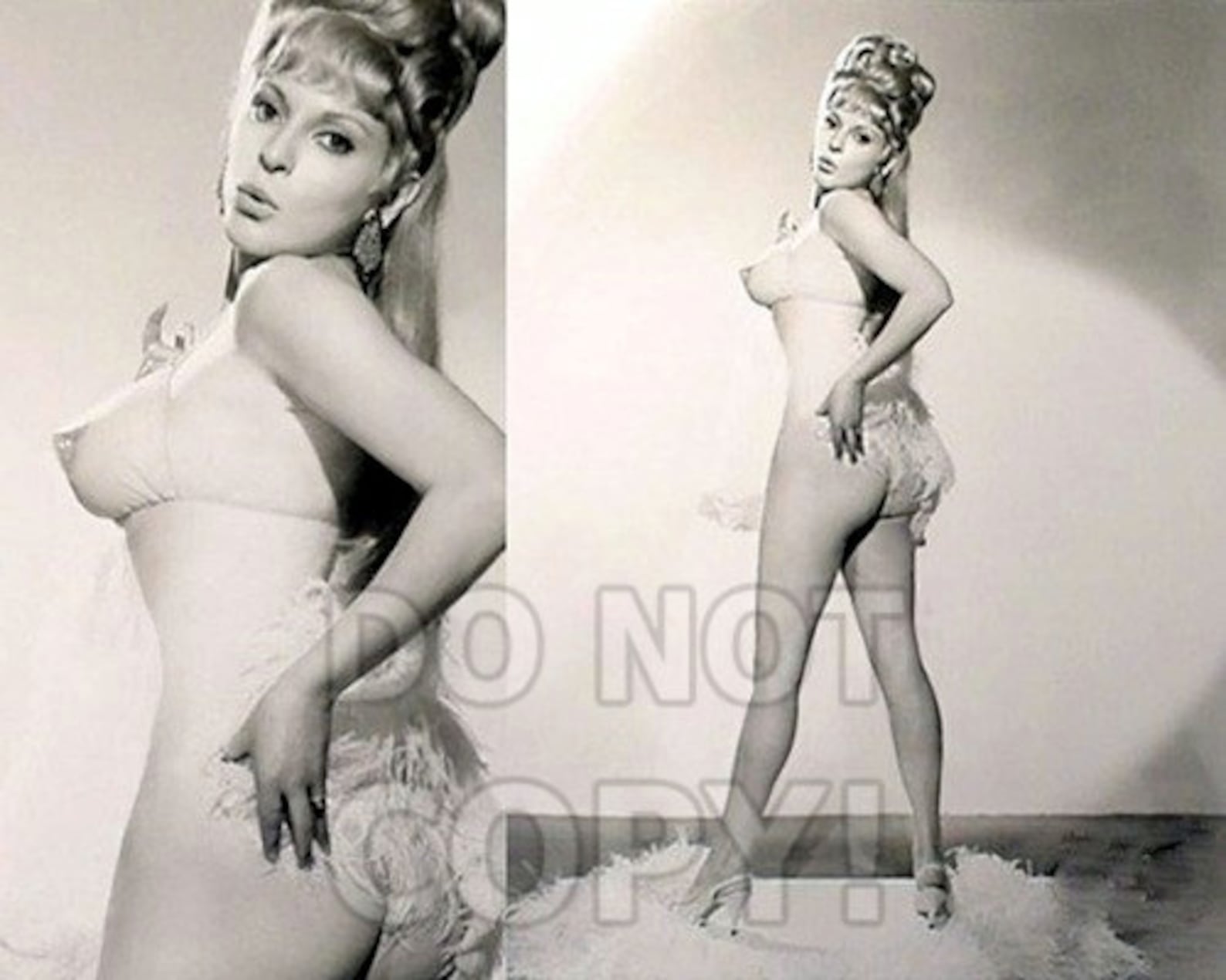 8x10 photo Fanne Foxe pretty sexy notorious 1960s-1970s burlesque queen, th...