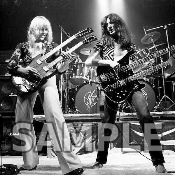 8x10 photo of Rush, pop singers, rock 'n roll in concert