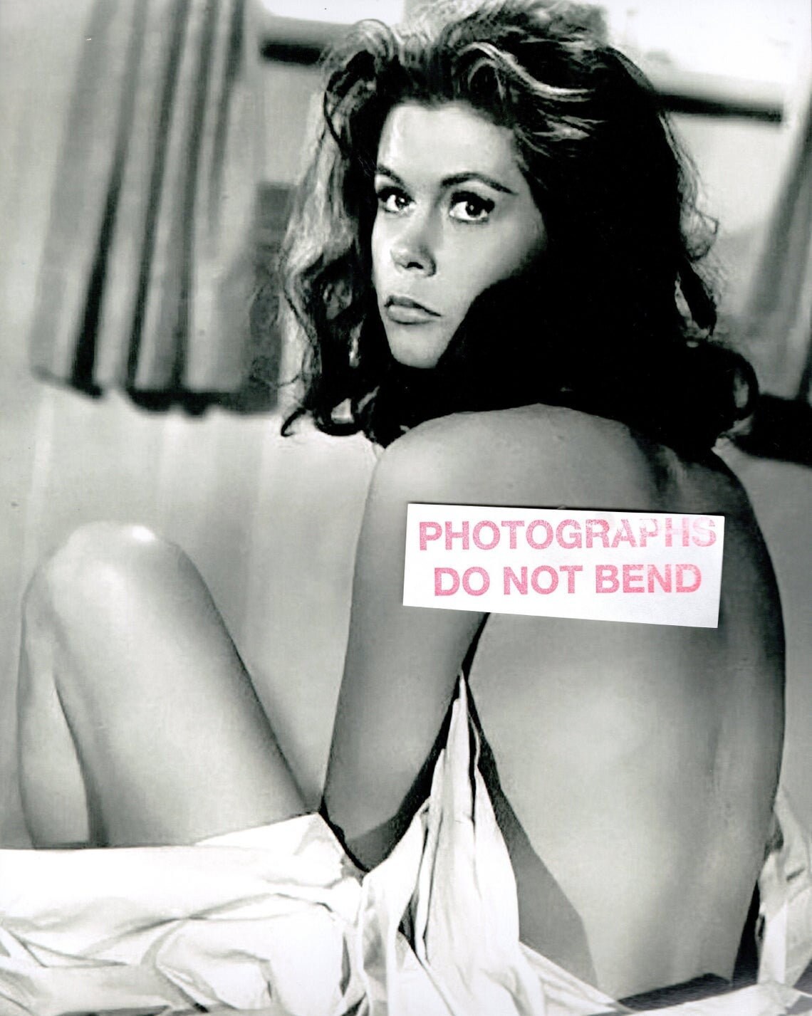 Elizabeth montgomery playboy