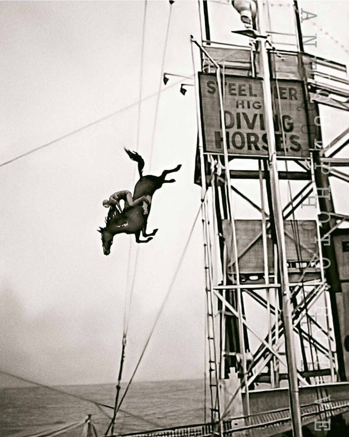8x10 photo The Diving Horse Atlantic City NJ Etsy